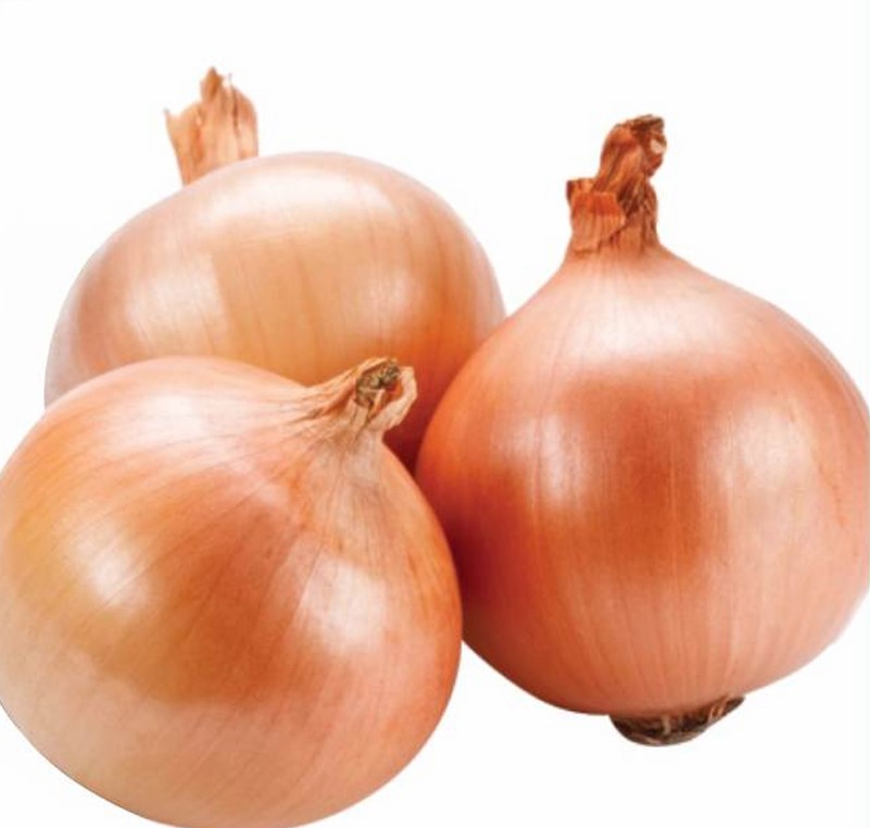 Improved Onion Marthi Lal Seeds