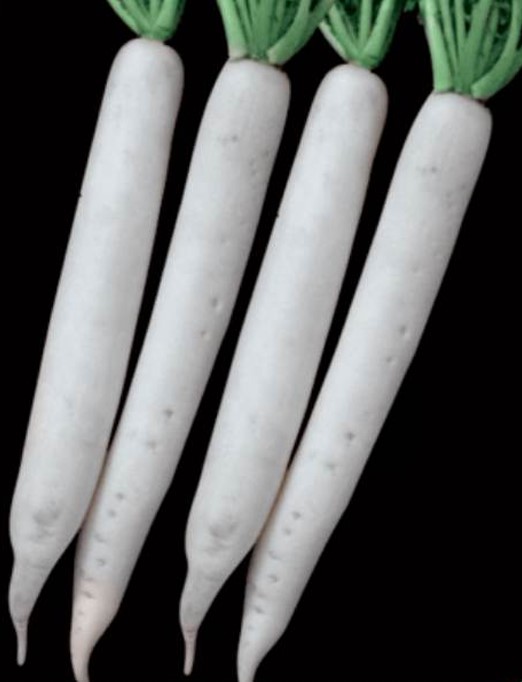 Hybrid Radish Seeds